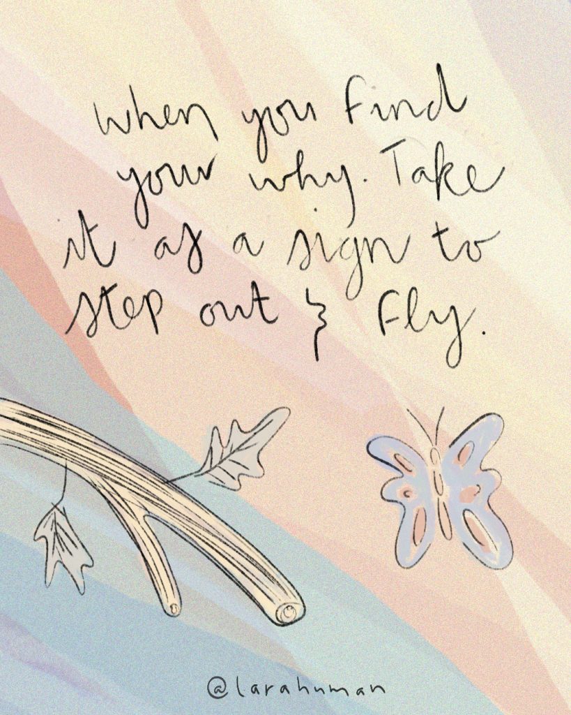 Fly-1